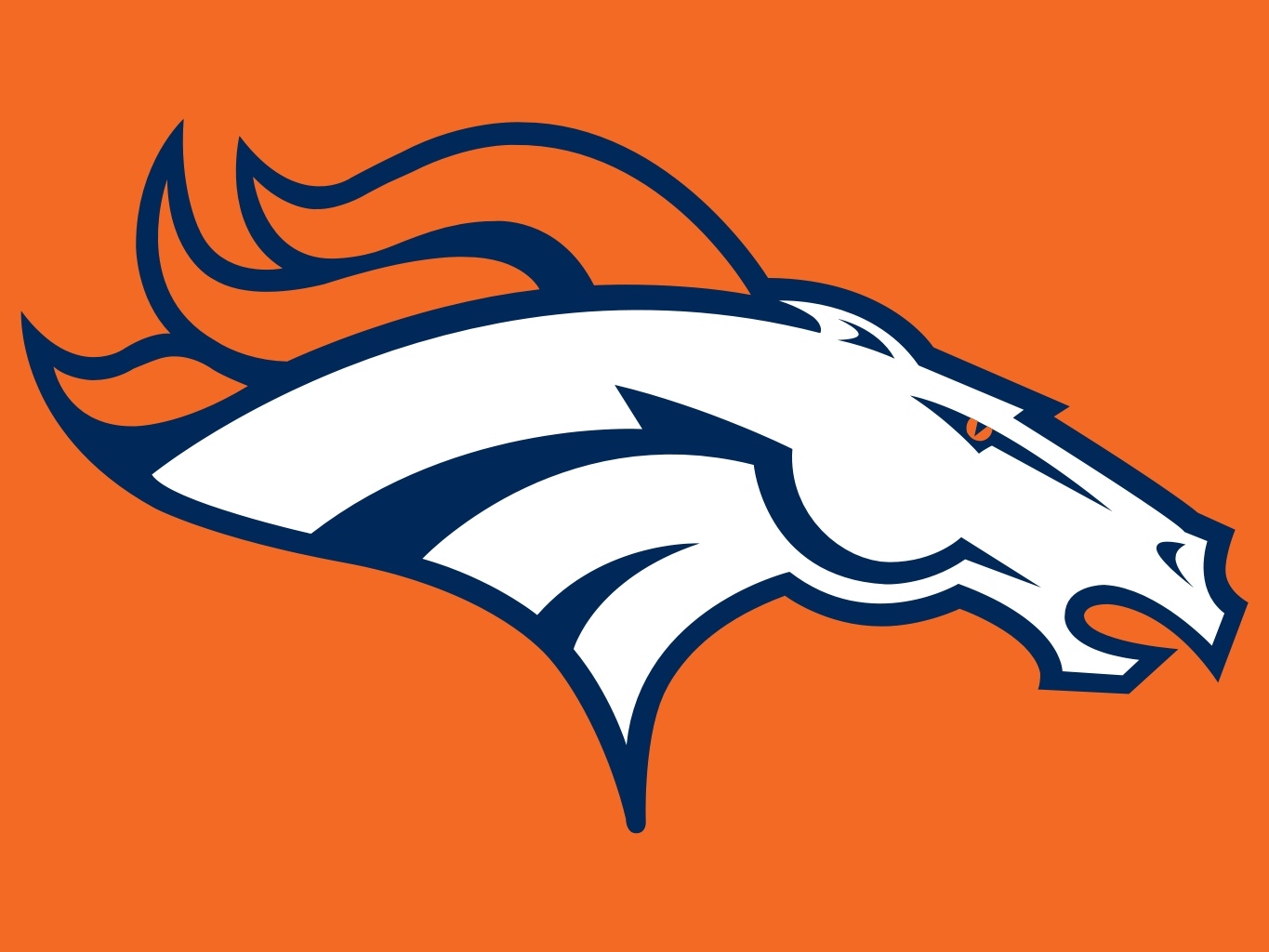 Denver Broncos Playoff Game