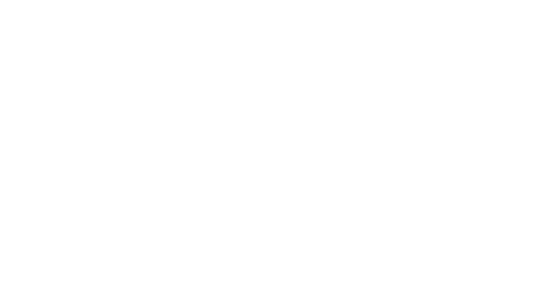 Holidaily Brewing