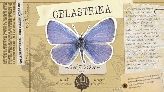 Celastrina
