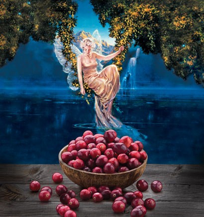Ephemere Cranberry