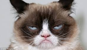 Sour Puss