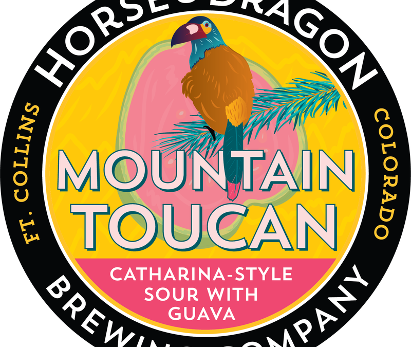 Mountain Toucan
